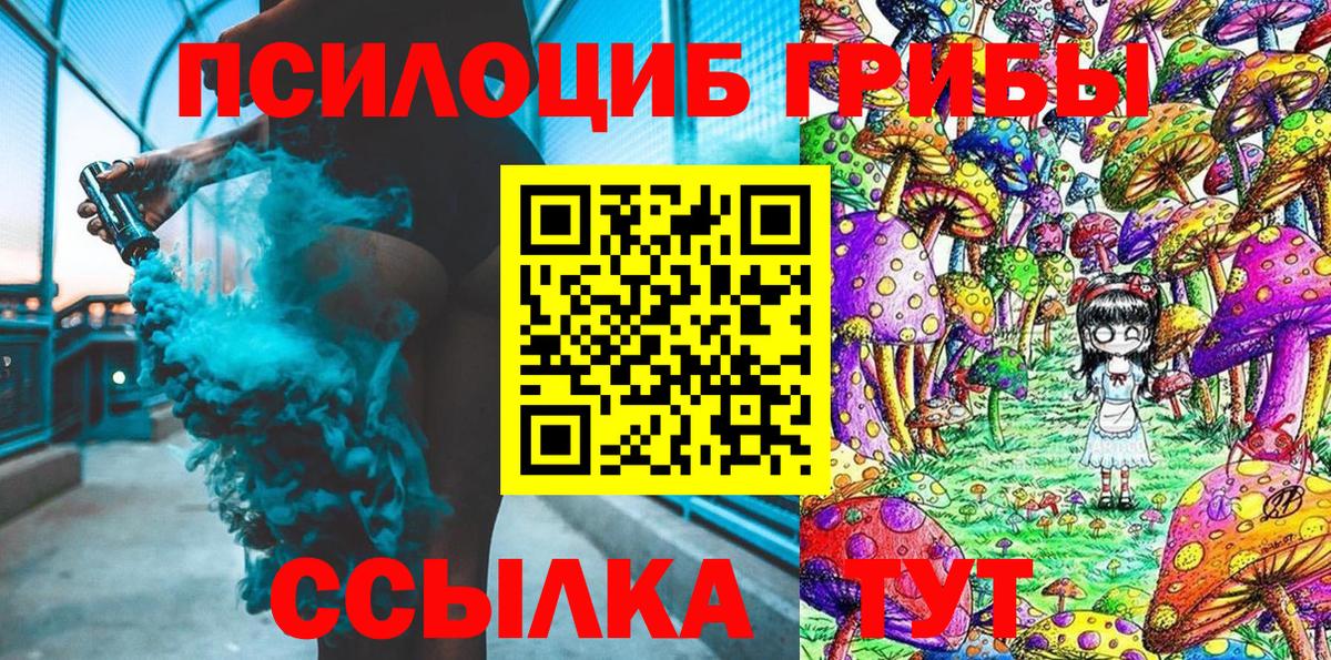 Нижнеудинск  Галлюциногенные грибы прущие грибы  Вход с VPN 